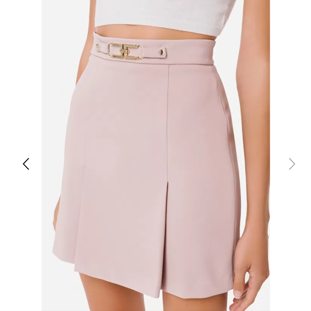 Elisabetta Franchi Mini Skirt